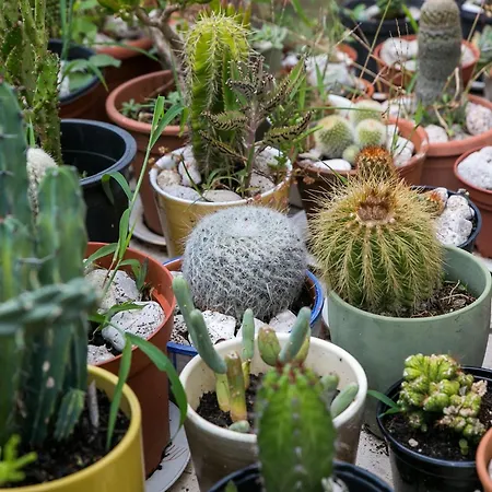 Maria Kolo Ep- Three Bedroom With Backyard Terrace And Sea View Appartement *